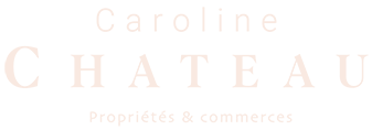 Logo Scarlett Propriétés & Commerces